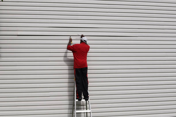 Best Siding Removal and Disposal  in Hammonton, NJ