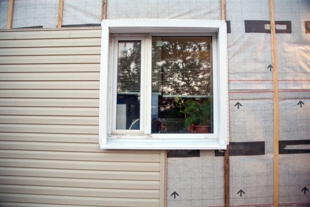 Best Steel Siding Installation  in Hammonton, NJ