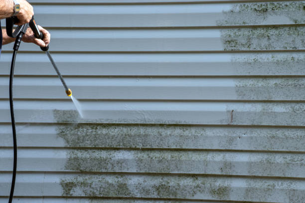 Best Stone Veneer Siding  in Hammonton, NJ