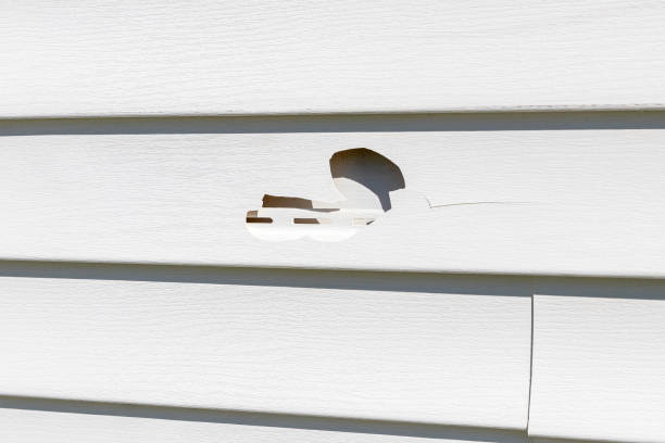Best Stone Veneer Siding  in Hammonton, NJ