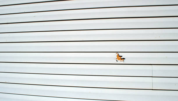 Hammonton, NJ Siding Installation & Repair Company