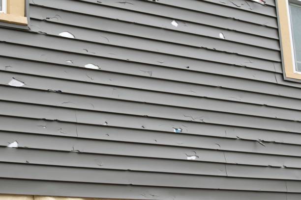 Best Siding for New Construction  in Hammonton, NJ