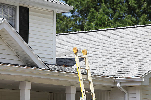 Best Historical Building Siding Restoration  in Hammonton, NJ